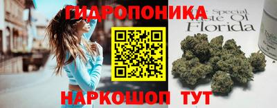сатива Аргун