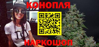 сатива Аргун