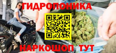 сатива Аргун