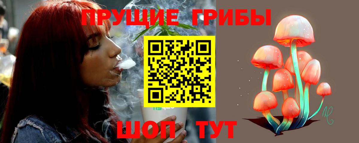 Волгоград  Галлюциногенные грибы MAGIC MUSHROOMS  Вход с VPN 